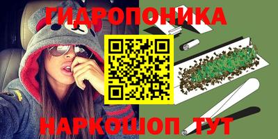 бошки Гай
