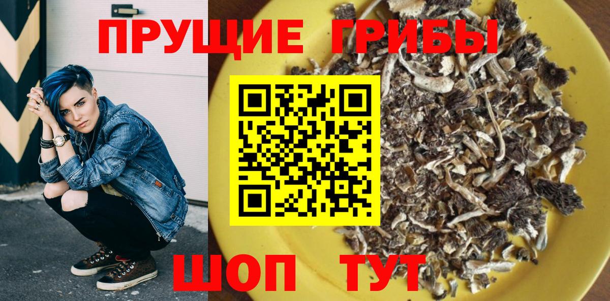 Псилоцибиновые грибы прущие грибы  Вход с VPN  Екатеринбург 