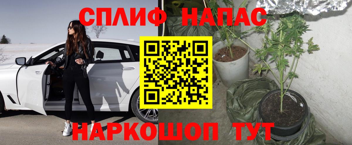Екатеринбург  Шишки марихуана Ganja  Вход с VPN  МАРИХУАНА план  Шишки марихуана сатива  Конопля тримм 